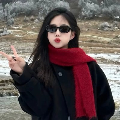 三个火枪手:达达尼昂