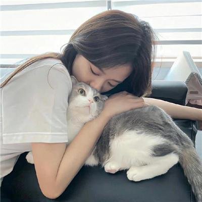 生活,高于一切